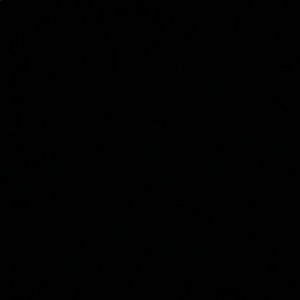 Meet your Posher, Mikaela